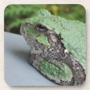 Search for tree frog barware Green