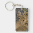 Search for carnivorous keychains Lion