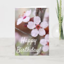 Search for plums cards Photography