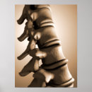 Recherche de dorsaux posters Physiologie