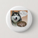 Recherche de alaskan badges Amoureux des chiens