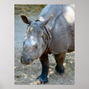 Recherche de rhinos posters Animaux