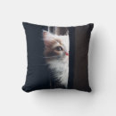 Search for sneaky Kitty