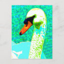 Recherche de cygnes cartes postales Nature