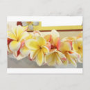 Search for aloha design postcards Lei