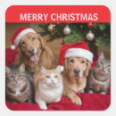 Search for dog and cat stickers Merry christmas