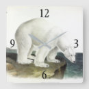 Recherche de ursus Ours polaire