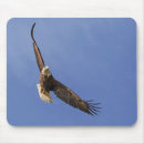 Recherche de chauve souris tapis souris Ailes