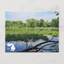 Search for oakland postcards United states