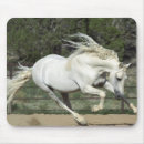 Search for andalusian electronics Stallion