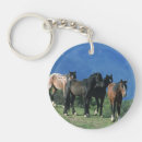 Search for mustang keychains Mountains