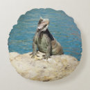 Recherche de iguane coussins Animal