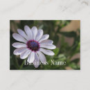 Recherche de images de fleur cartes visite Jardinage