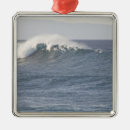 Search for maui ornaments United states