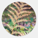 Search for fern leaf stickers Botanical