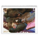 Search for pitbulls office supplies Cute