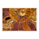 Search for ammonites art Nature