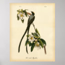 Search for fork posters Vintage