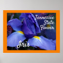 Search for orange border posters Blue
