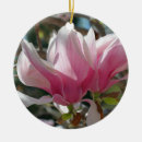 Search for magnolia flower ornaments Nature