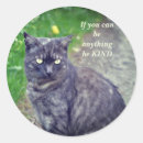 Search for grey tabby cat stickers Feline