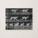 Search for 707 Muybridge