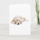 Search for golden retriever invitations Watercolor