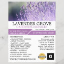 Recherche de lavander prospectus Pour tous