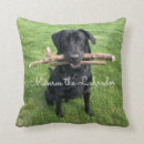 Recherche de chien labrador coussins Drôle