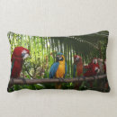Search for parrot pillows Red