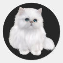 Search for persian cat stickers White