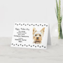 Search for yorkshire terrier mothers day cards Dog mom
