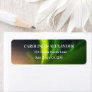 Search for northern lights return address labels Night sky