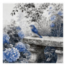 Recherche de oiseaux bleus posters Jardin