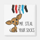 Search for steals magnets Humour
