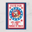 Recherche de bull terrier blanc cartes postales Pitbull