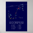 Search for scorpius posters Zodiac
