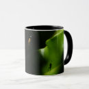 Search for spiders mugs Spiderweb