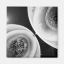 Search for cell division Mitosis