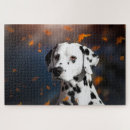 Recherche de dalmation Animal