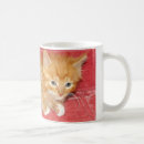 Search for cuddly cat mugs Cats