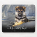 Search for shepard electronics Dog