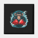 Search for sparring magnets Fighter strength training