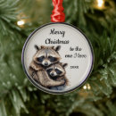 Recherche de raccoon ornements Noël
