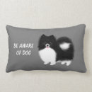 Recherche de chiens blancs coussins Mignon