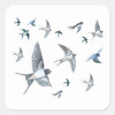 Search for swallow stickers Bird