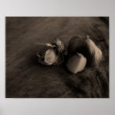 Recherche de beaux photographie art Sépia