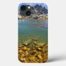 Search for clean ipad cases Ansel adams wilderness