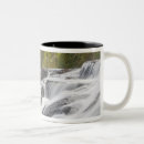 Search for fork mugs Nature