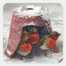 Recherche de merle stickers Oiseaux